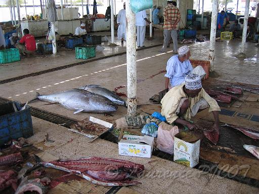 marche poisson.JPG - Le marché au poisson